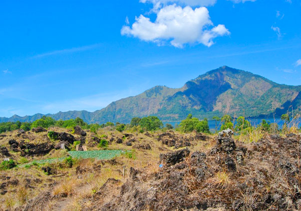 Kintamani Tour Package